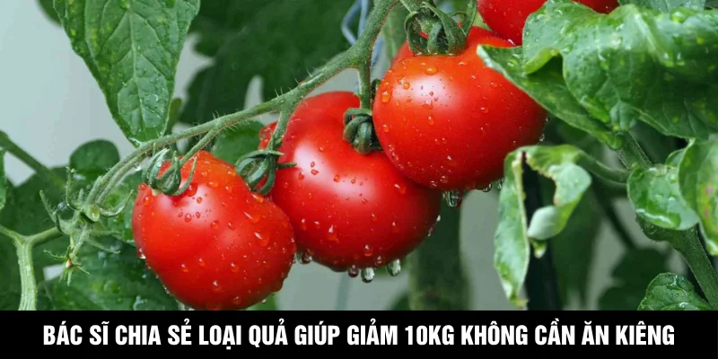 Bác Sĩ Chia Sẻ Loại Quả Giúp Giảm 10kg Không Cần Ăn Kiêng