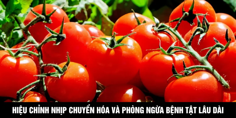 Hiệu chỉnh nhịp chuyển hóa và phòng ngừa bệnh tật lâu dài