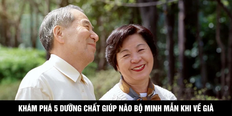 Khám Phá 5 Dưỡng Chất Giúp Não Bộ Minh Mẫn Khi Về Già