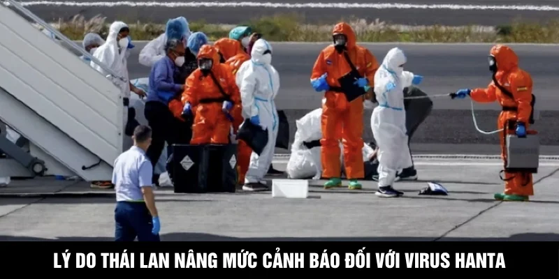 Lý do Thái Lan nâng mức cảnh báo đối với virus Hanta