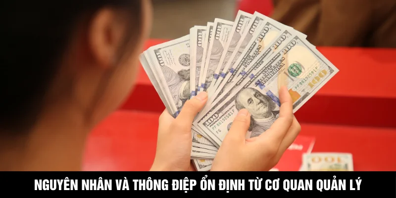 Nguyên nhân và thông điệp ổn định từ cơ quan quản lý