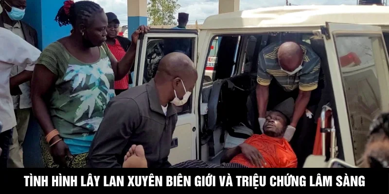 Tình hình lây lan xuyên biên giới và triệu chứng lâm sàng
