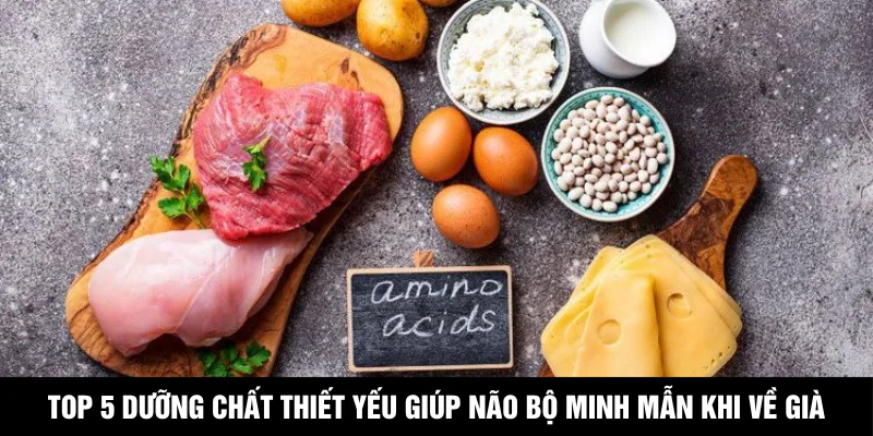 Top 5 dưỡng chất thiết yếu giúp não bộ minh mẫn khi về già