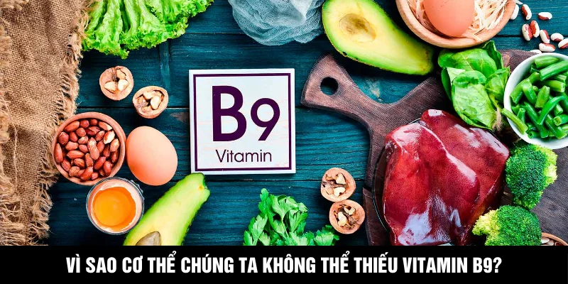 Vì Sao Cơ Thể Chúng Ta Không Thể Thiếu Vitamin B9?