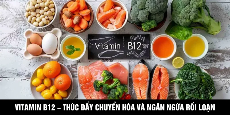 Vitamin B12 – Thúc đẩy chuyển hóa và ngăn ngừa rối loạn tiêu hóa